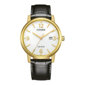 CITIZEN ECO-DRIVE 61995